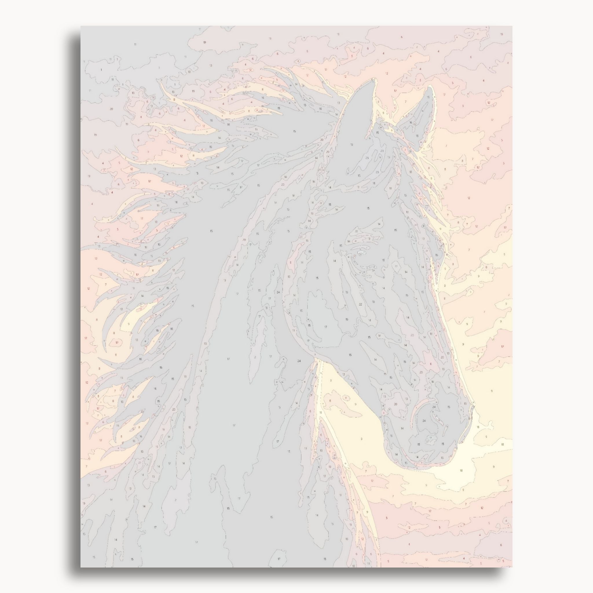 Black Horse Portrait