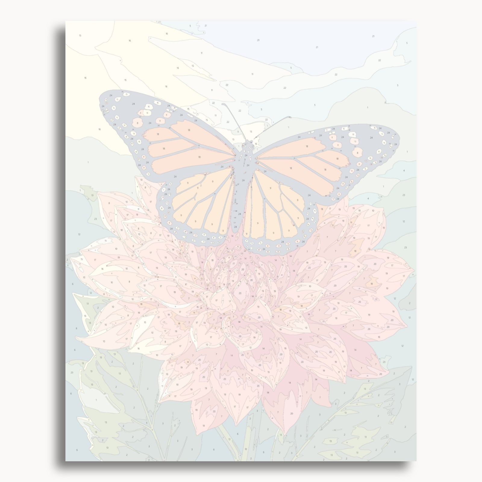 Monarch Morning