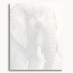 Elephant Portrait