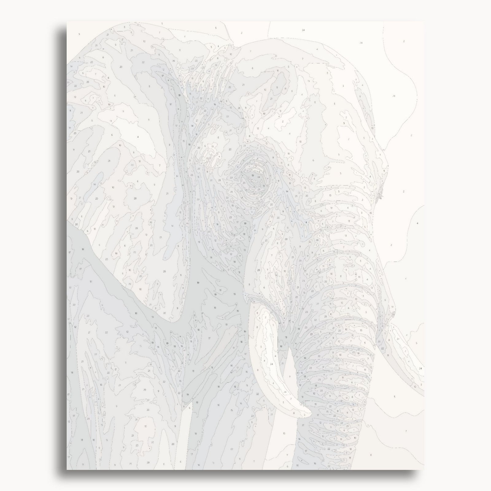 Elephant Portrait