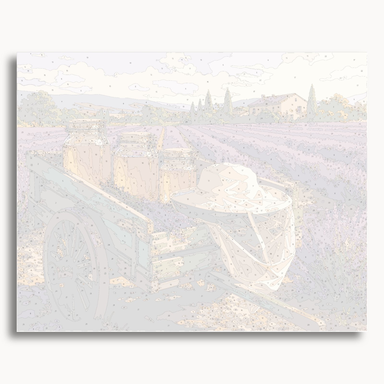 Récolte de lavande