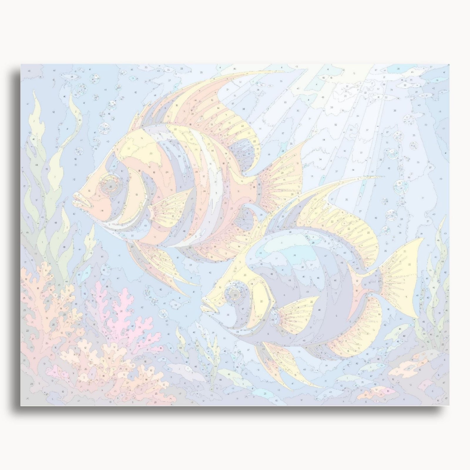 Tropical Fish