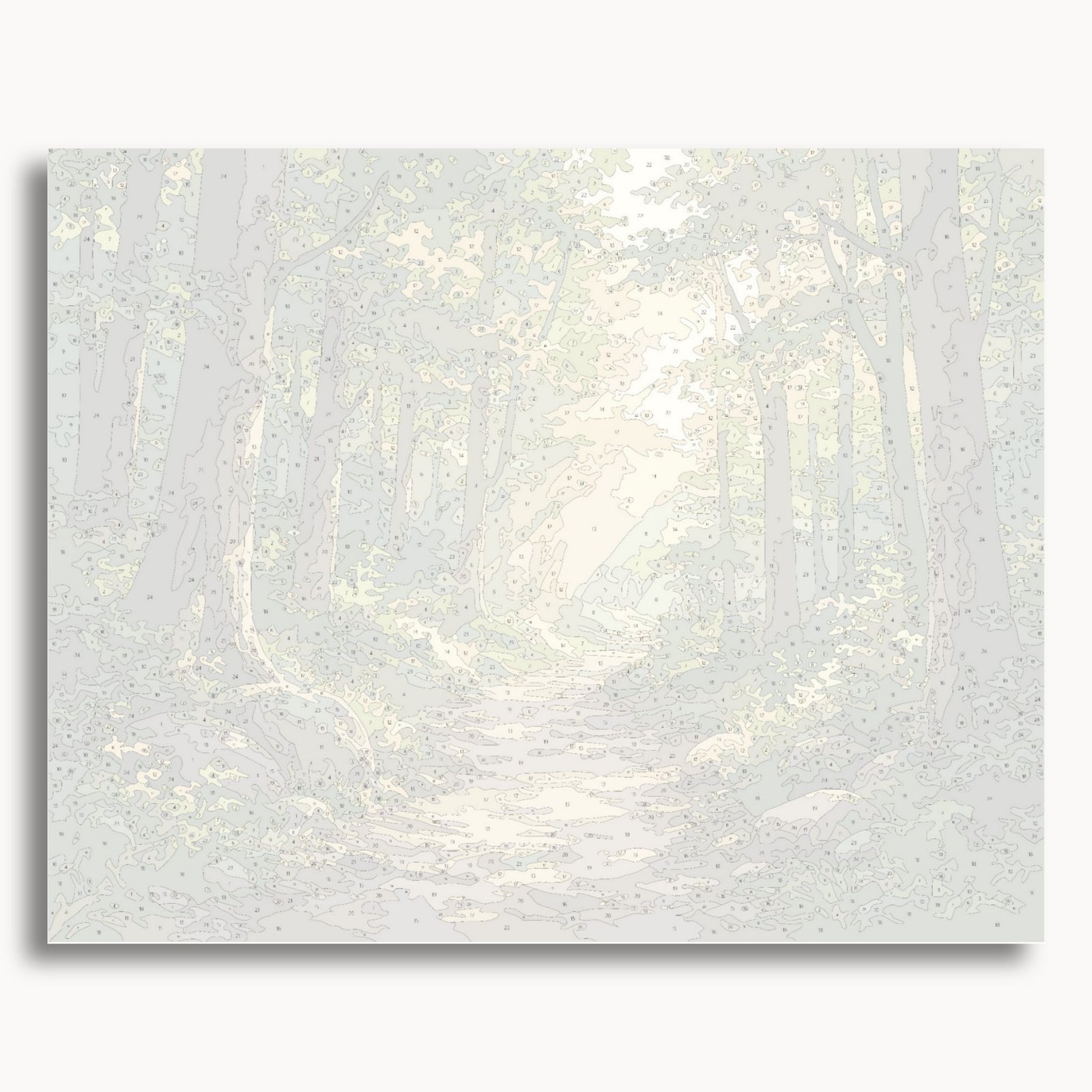 Forest Path