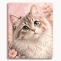 Cute Kitten