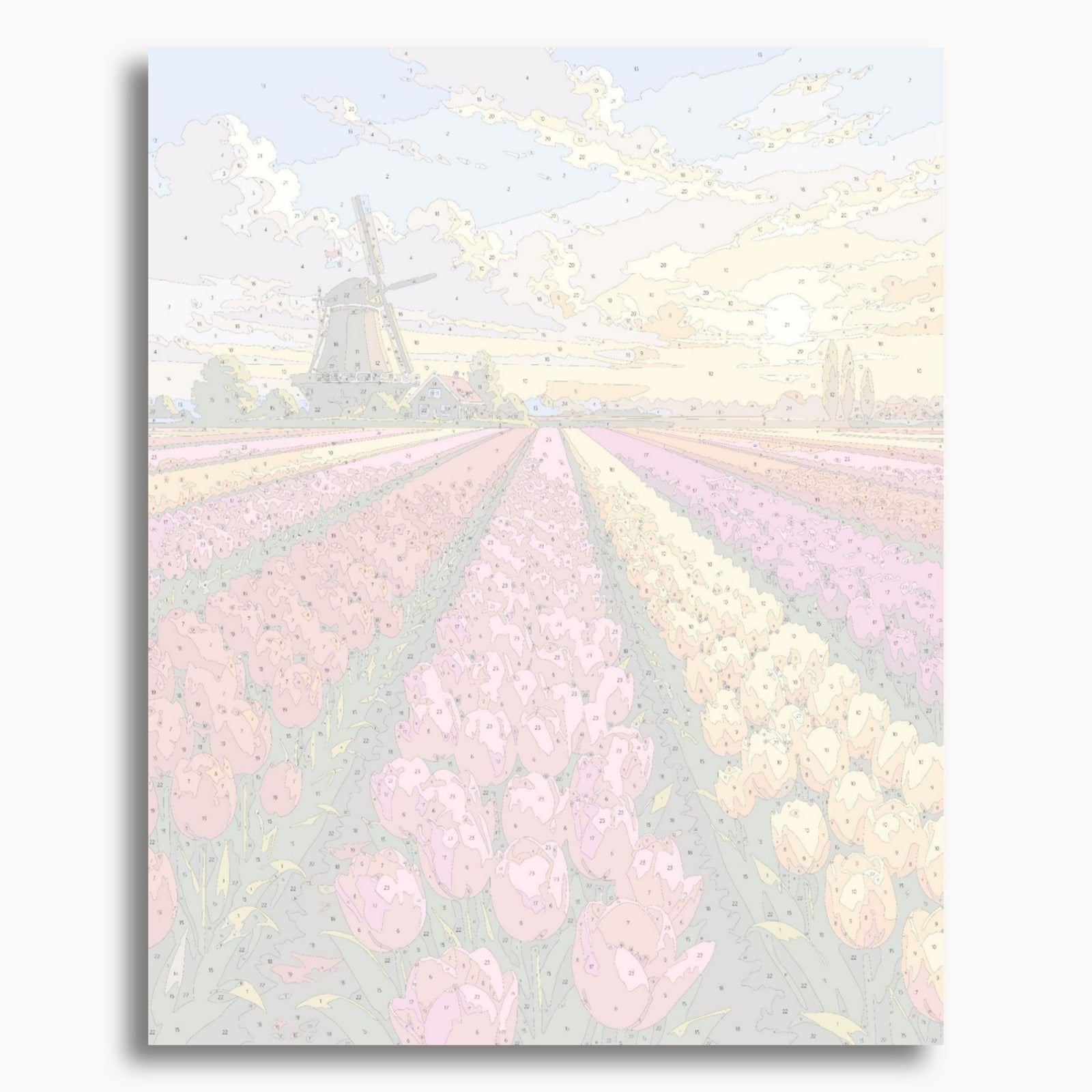 Tulpenfelder