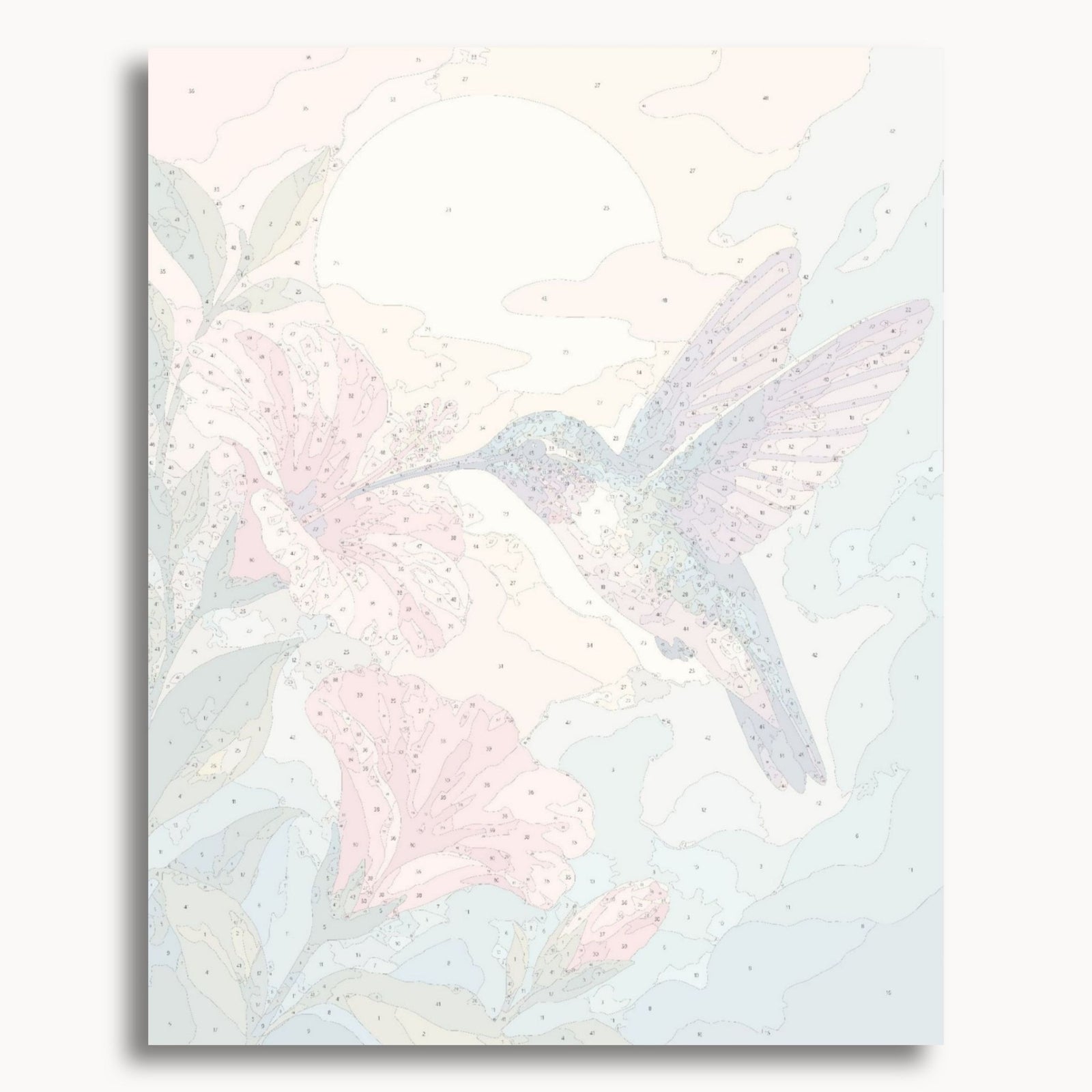 Hummingbird Bloom