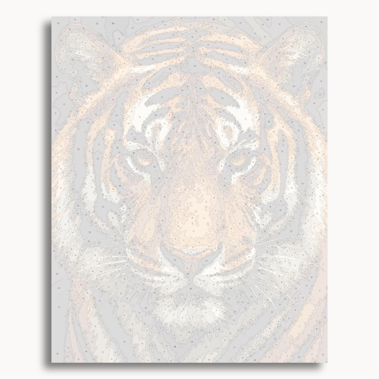 Tiger Face