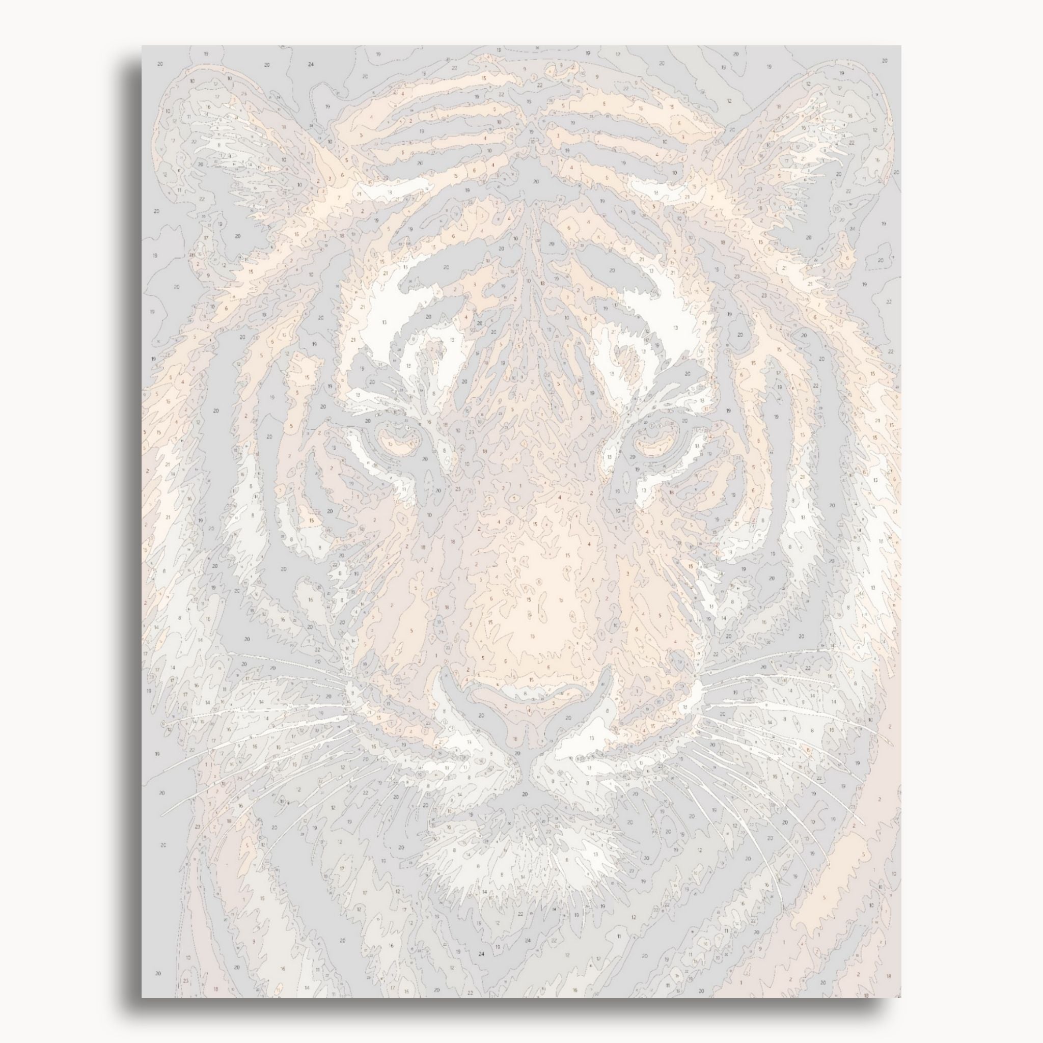 Tiger Face