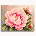 Pink Peony