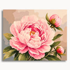Pink Peony