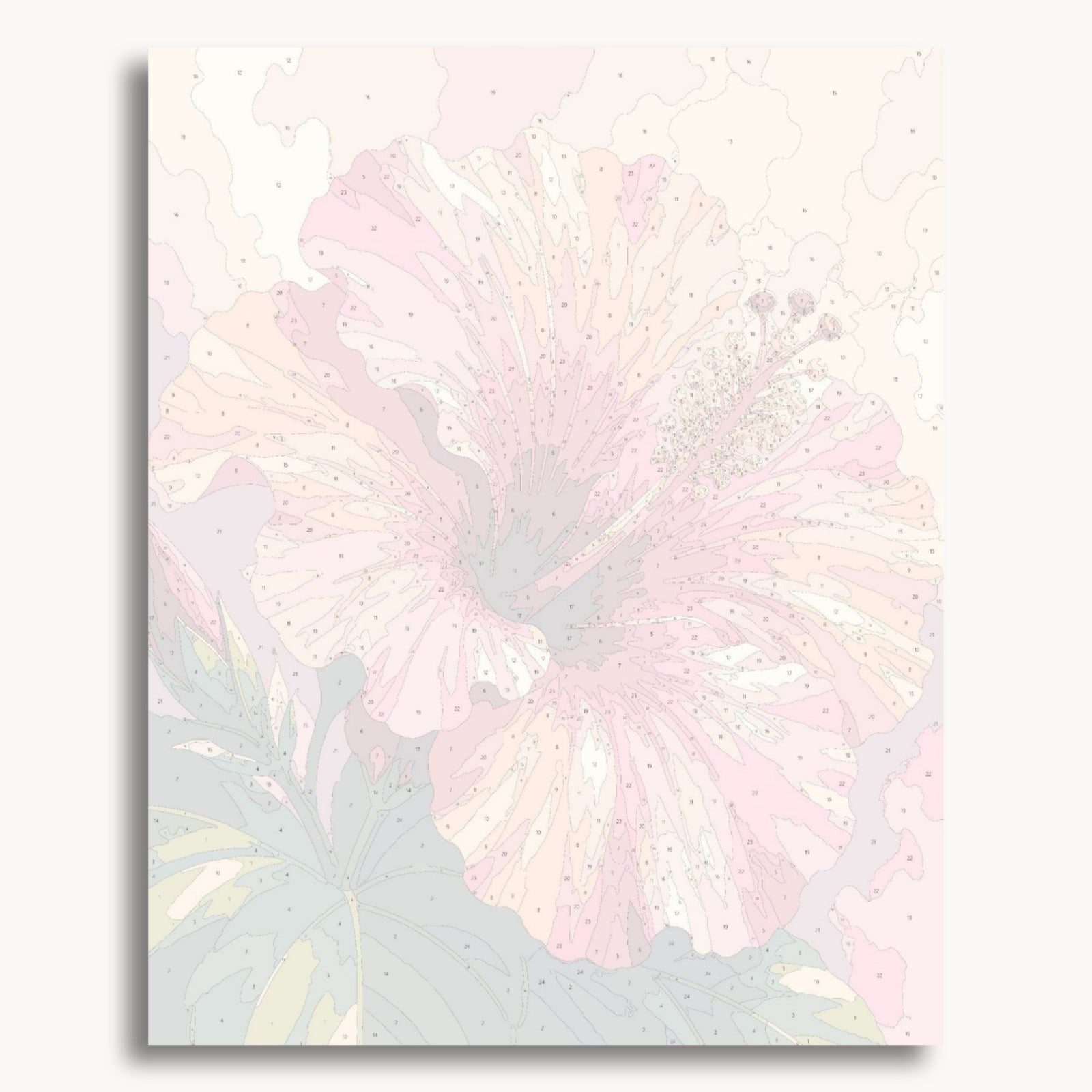 Hibiscus Rose