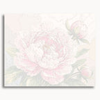 Pink Peony