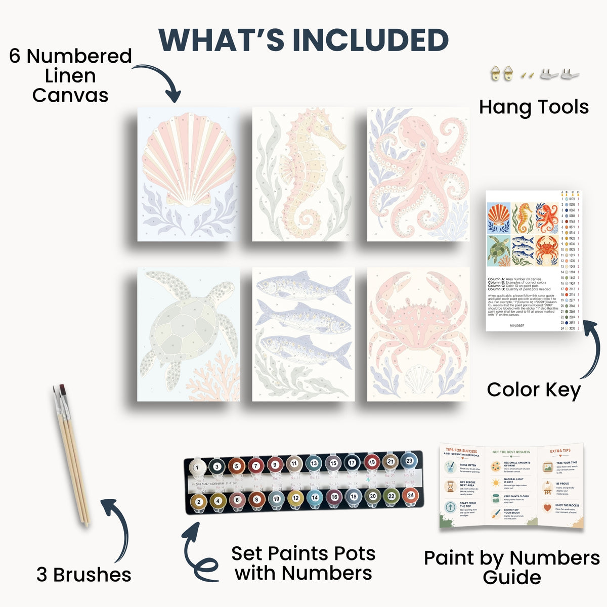 Vie marine | 6 mini-kits