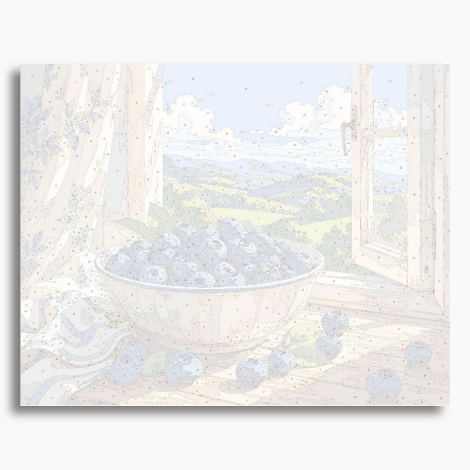 Bol de bleuets