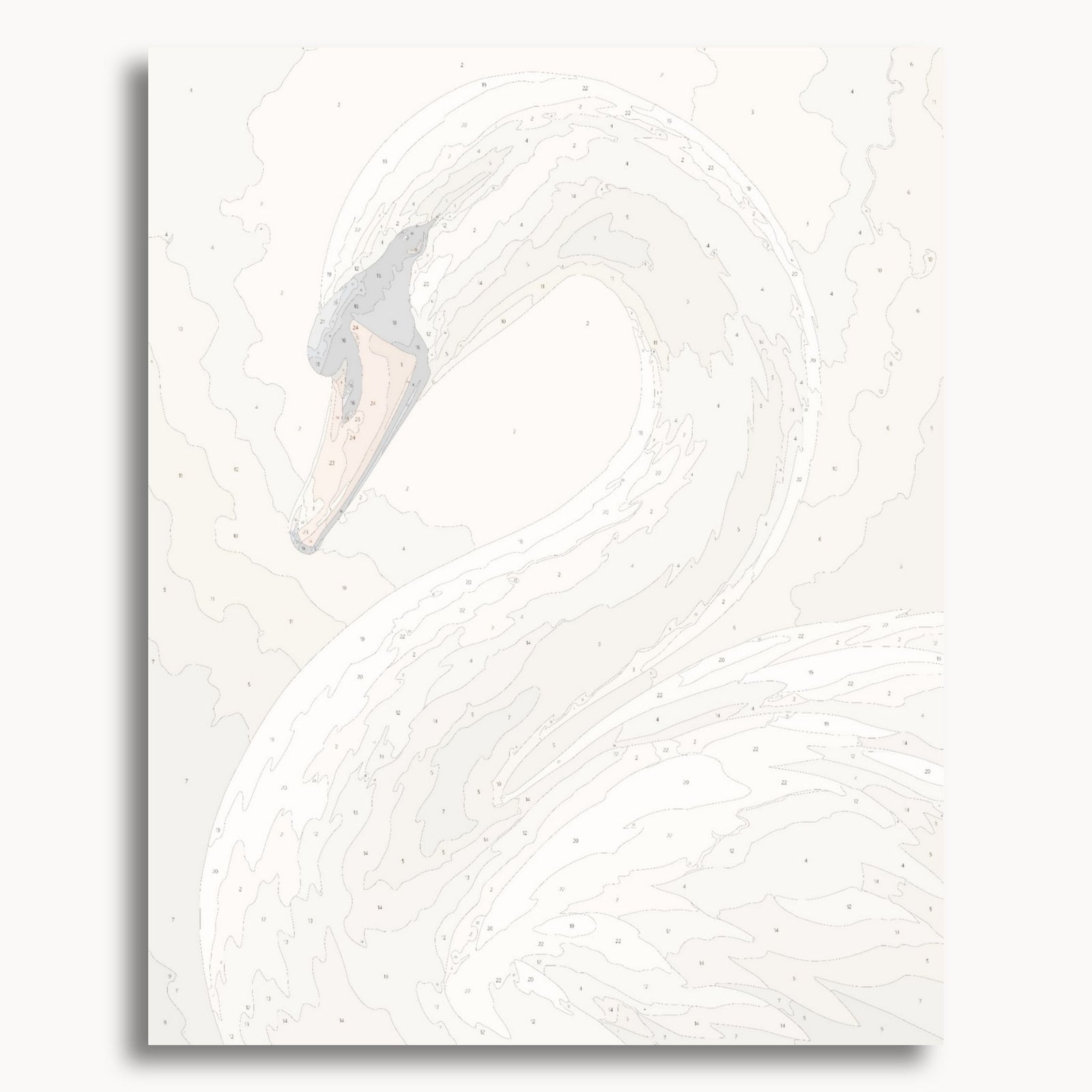 Swan Portrait