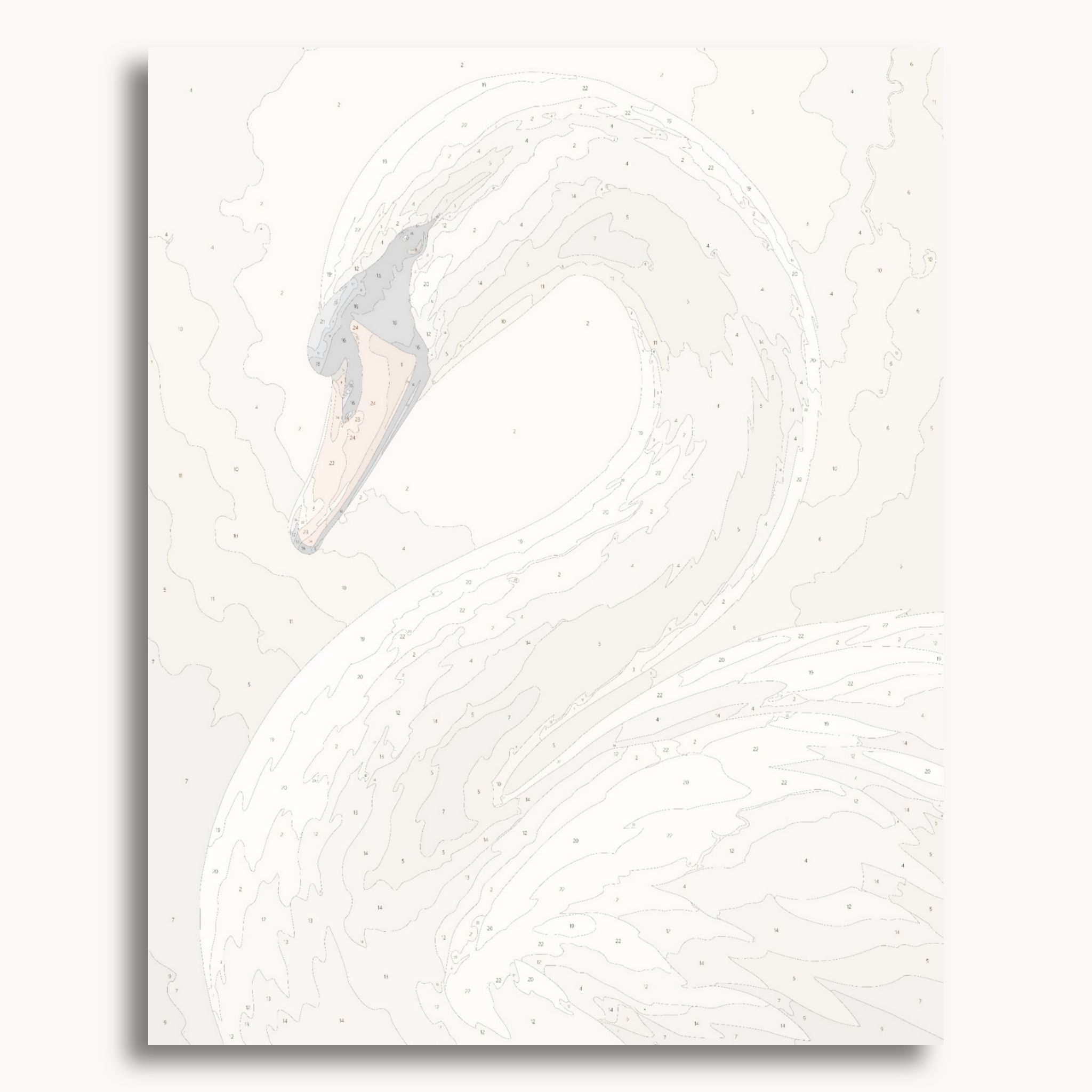 Swan Portrait