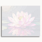 Pink Lotus