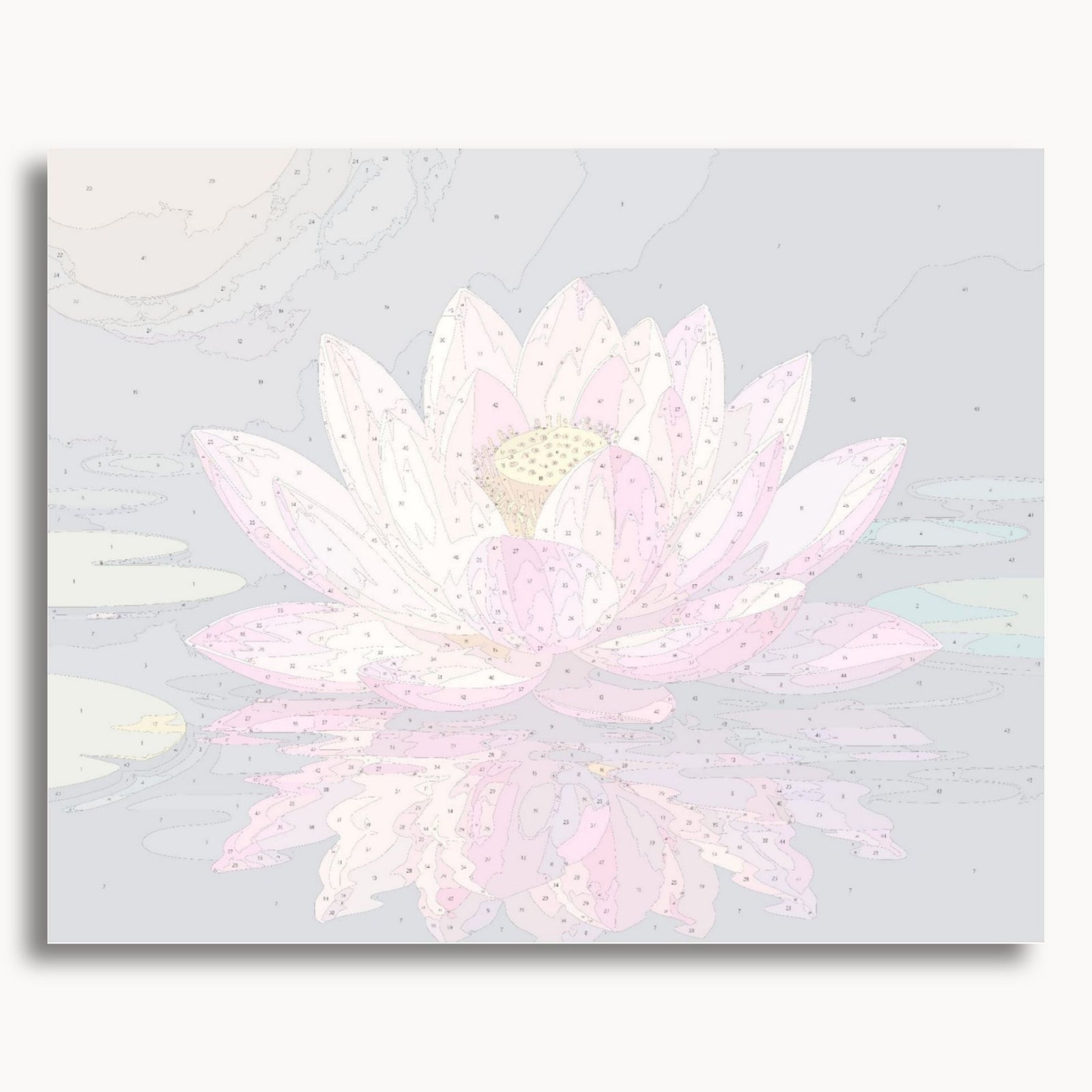 Pink Lotus