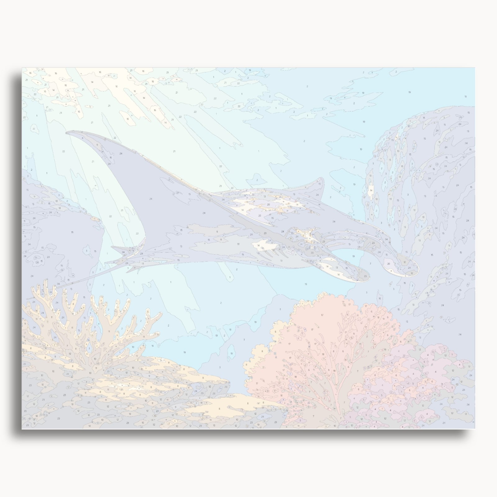 Raie Manta Corail