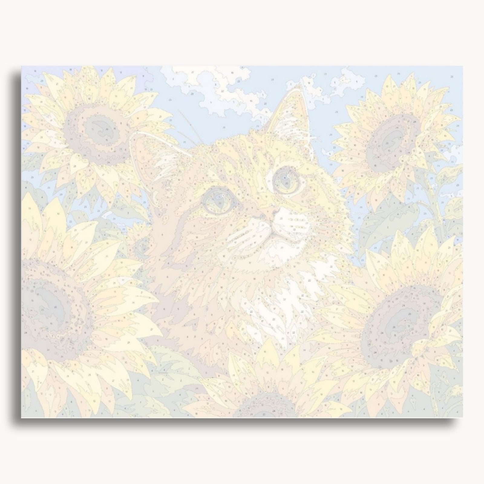 Gato Girasol