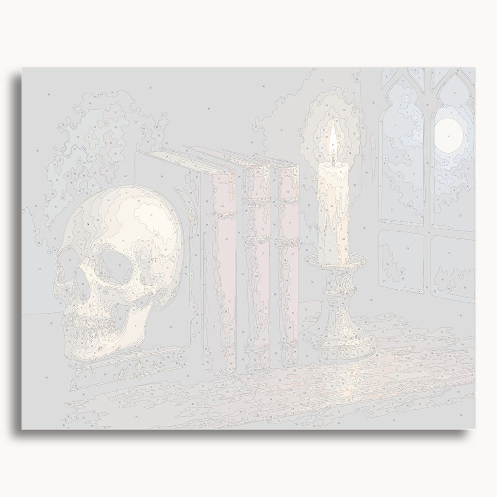 Numbered canvas preview for the Skull and Books paint by numbers kit