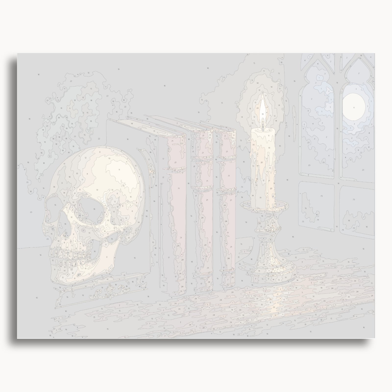 Skull and Books