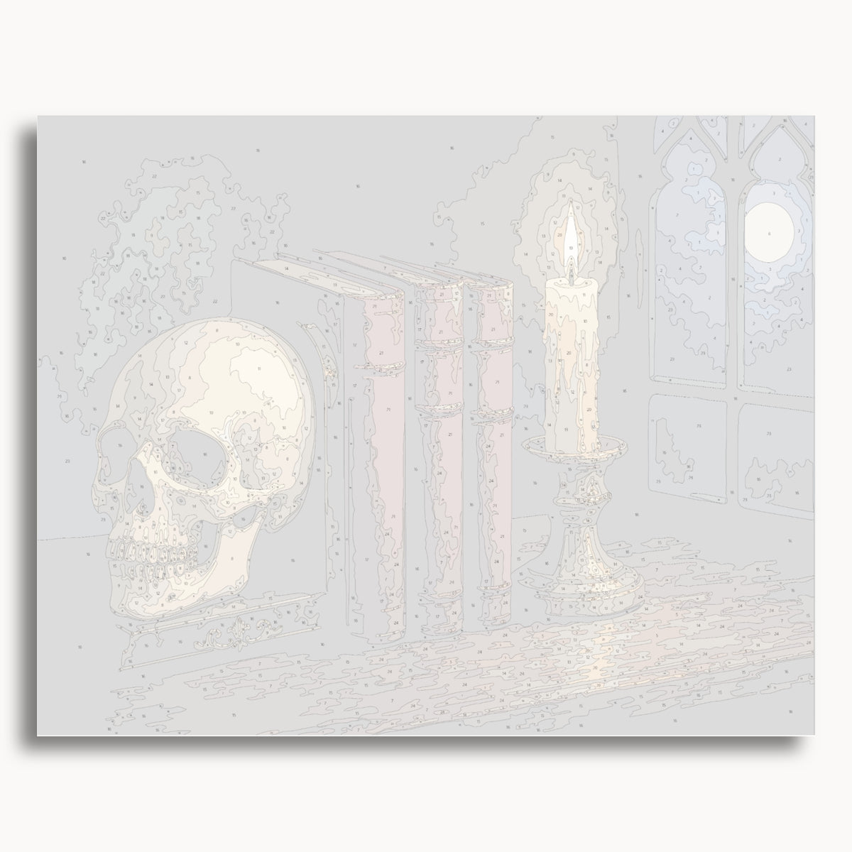 Numbered canvas preview for the Skull and Books paint by numbers kit