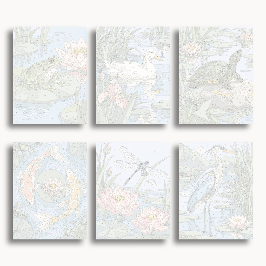 Vie de l’étang | 6 mini-kits