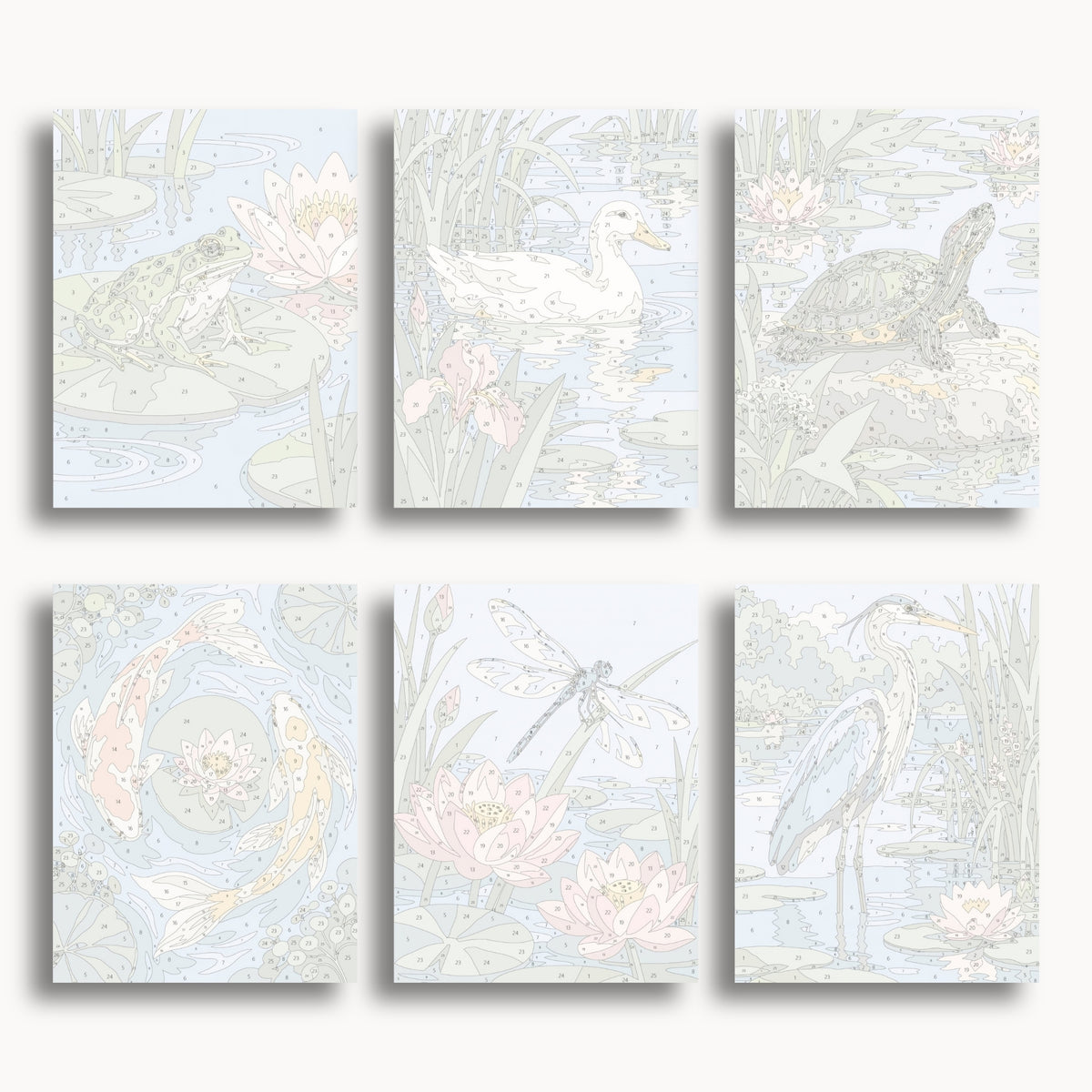 Vie de l’étang | 6 mini-kits