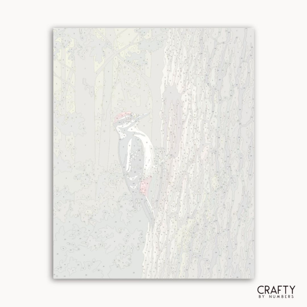 Numbered canvas preview for the Forest Sentinel Woodpecker paint by numbers kit