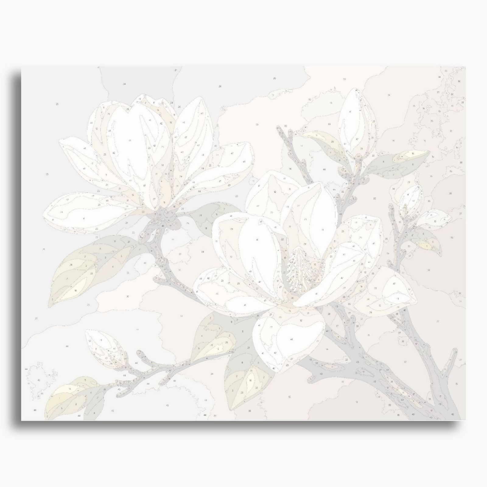 White Magnolia