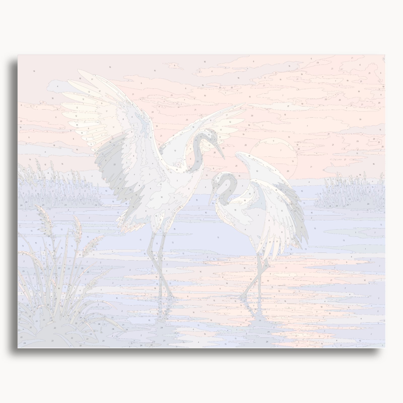 Grues dansantes
