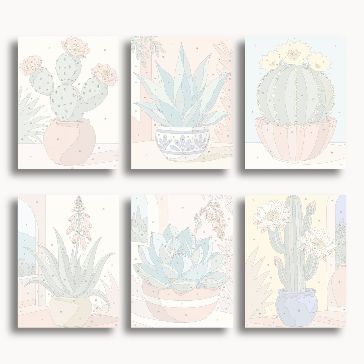 Cactus Garden | 6 Mini Kits