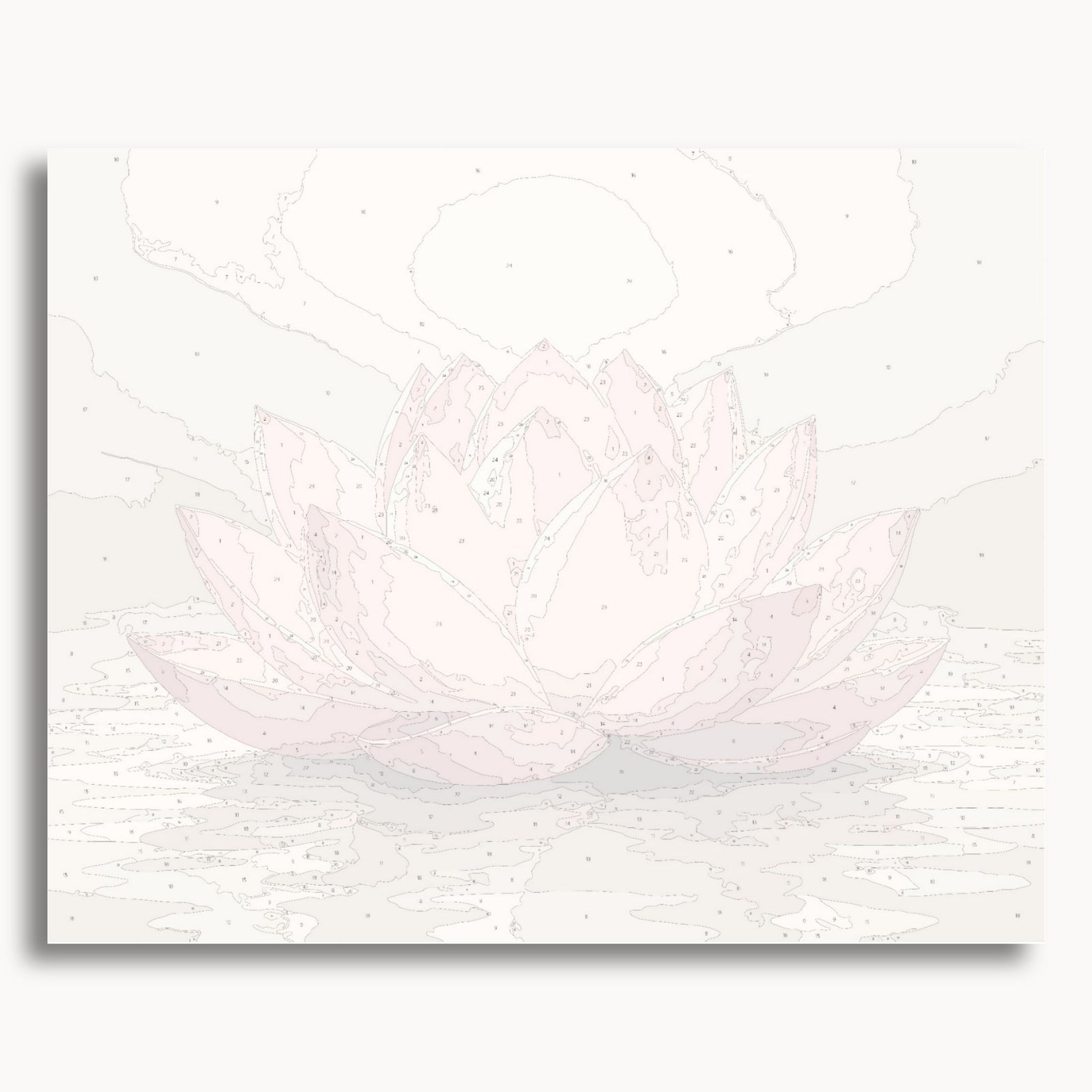 Lotus Flower