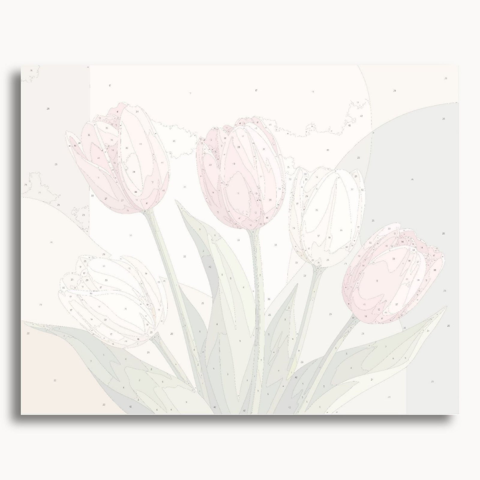 Tulipanes ruborizados
