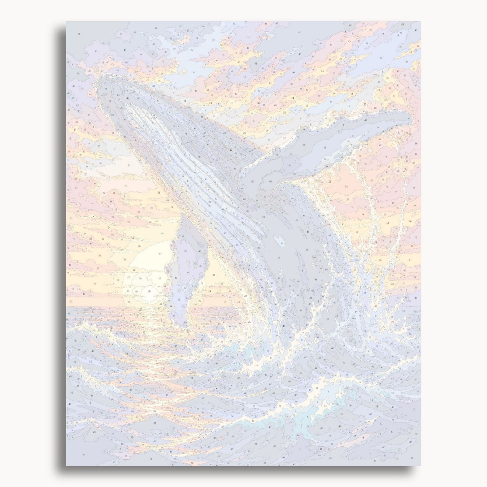 Sunset Whale