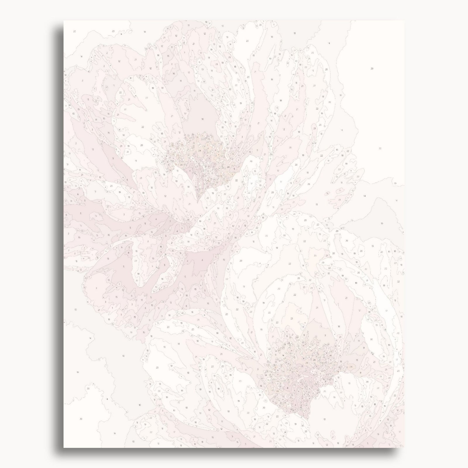 Pink Peony
