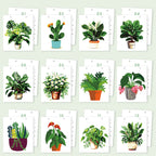 Calendar with illustrations of various potted plants on a light green background