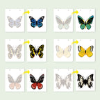 Set of butterfly illustrations on white cards with colorful outlines.