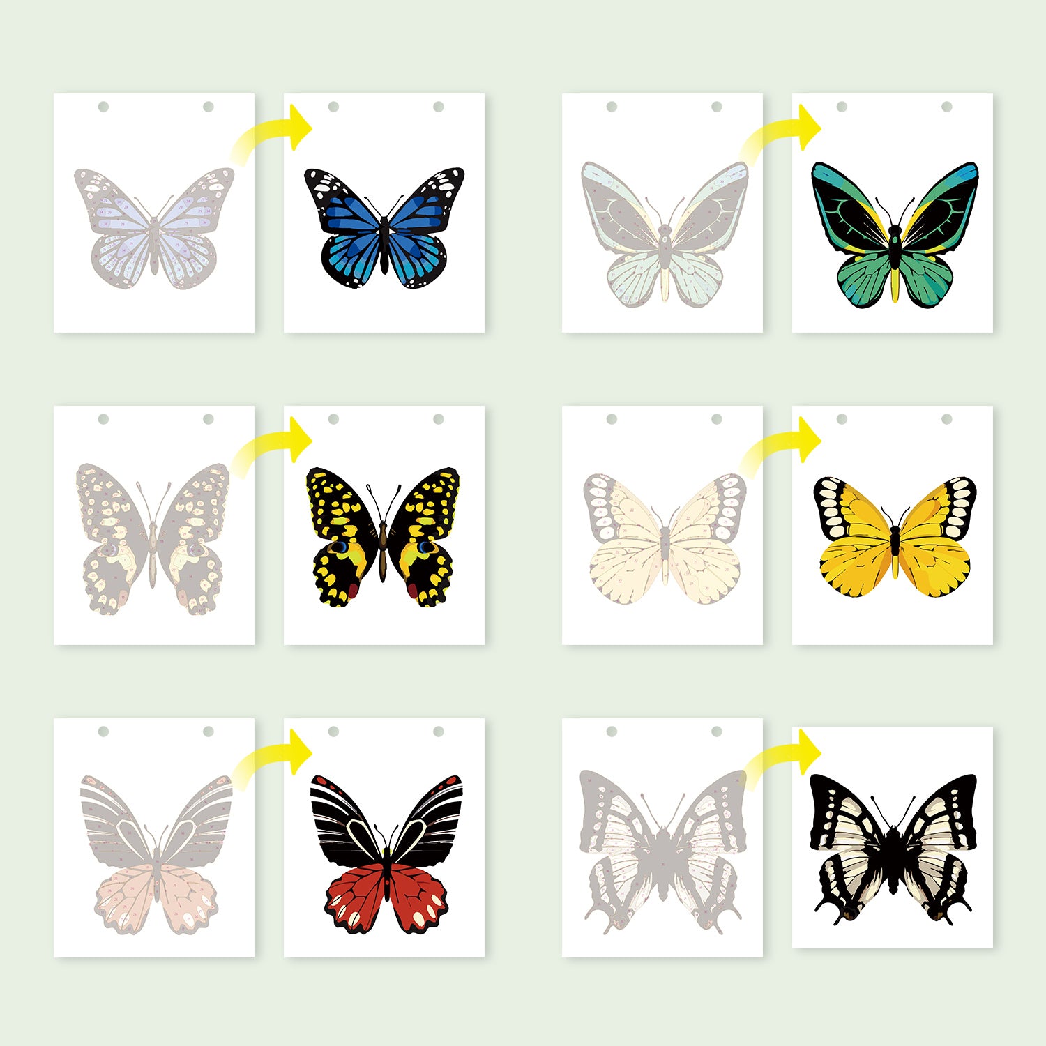 Set of butterfly illustrations on white cards with colorful outlines.