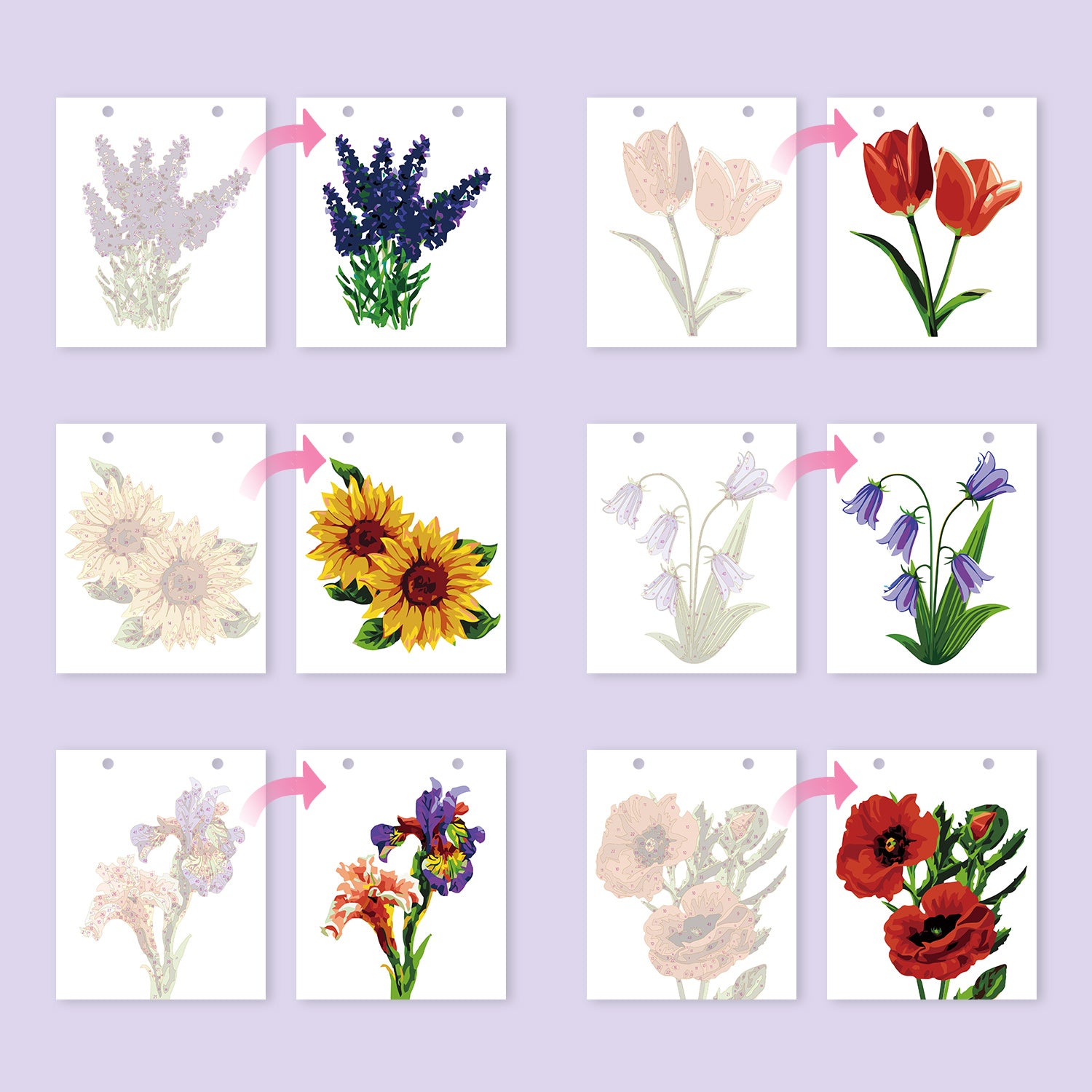Set of floral designs on a purple background