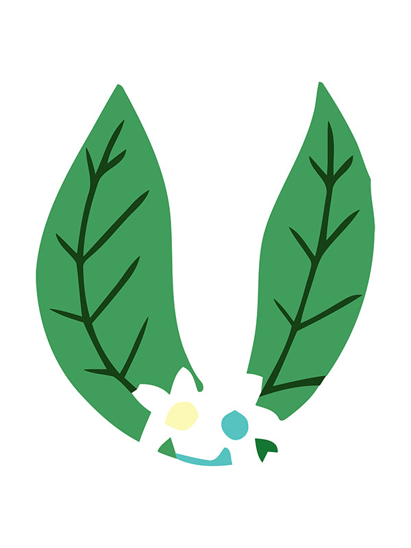 Two green leaves with a white flower in the center on a white background