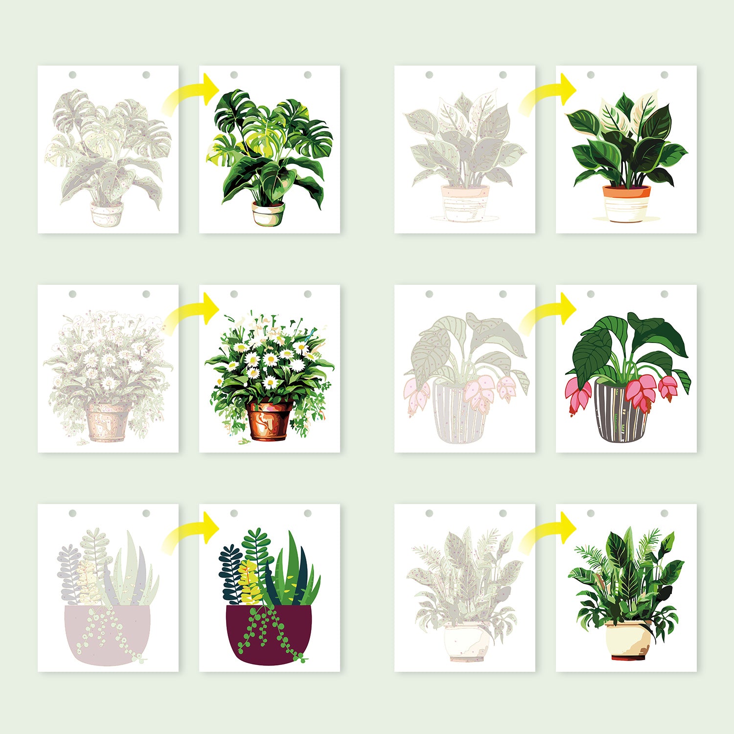 Conjunto de doce calendarios de pared con temática vegetal sobre un fondo verde claro