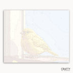 Golden Window Canary