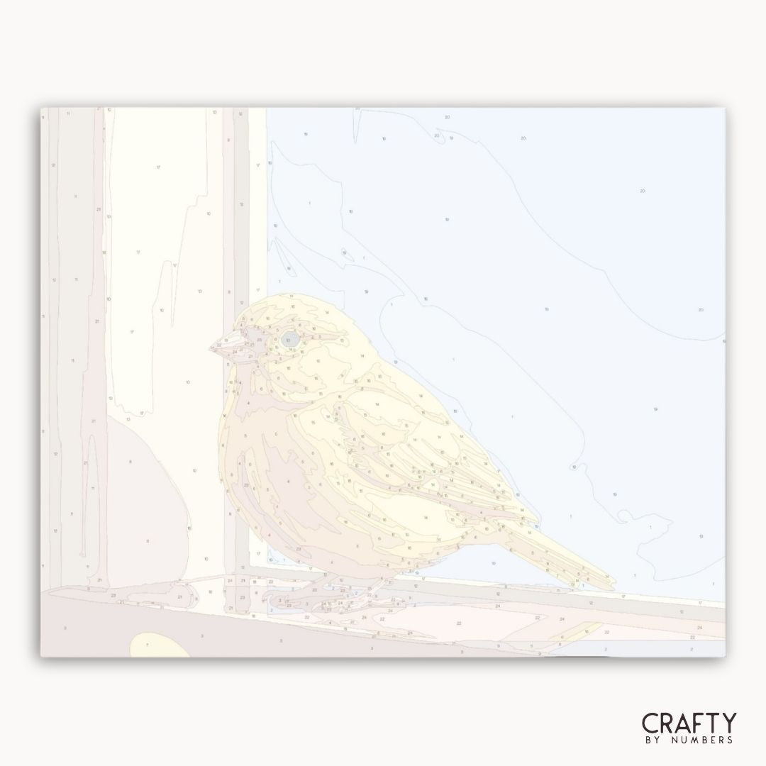 Golden Window Canary