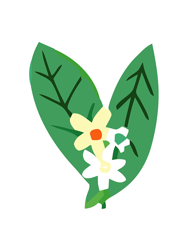 Illustration of a yellow flower with a red center between two green leaves on a white background