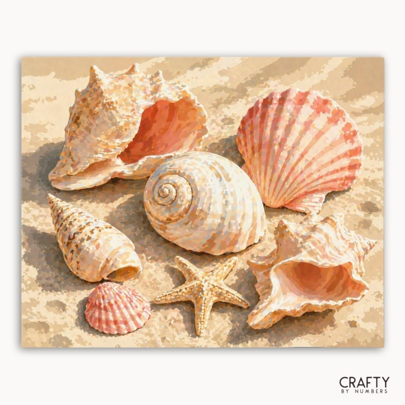 Seashells
