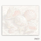 Seashells
