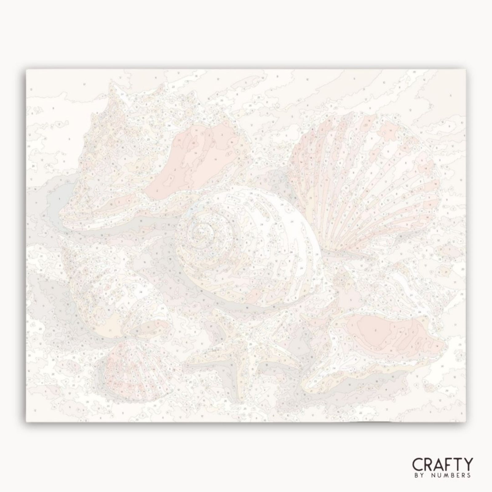Seashells
