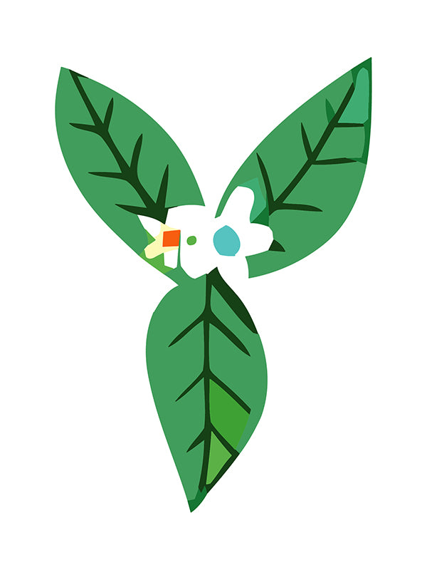 Illustration of a flower with green leaf-like structures on a white background